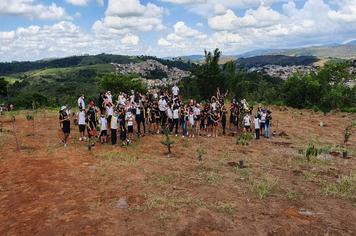 PROJETO AMBIENTAL PROMOVENDO A NATUREZA