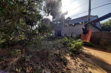 PODA DE ÁRVORES NO CAXAMBU VELHO