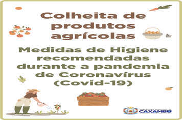 Colheita de Produtos Agrícolas