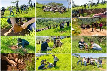 PLANTIO DE ÁRVORES NO MORRO CAXAMBU