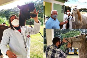 PROGRAMA CAXAMBU + CHARRETE PROMOVE INSPEÇÃO VETERINÁRIA