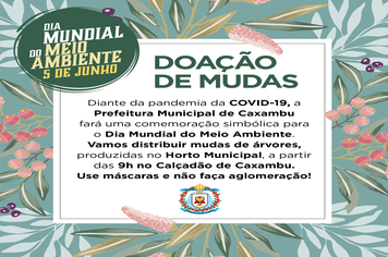 Doação de mudas
