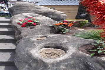 Todos contra o Aedes.