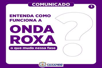 ENTENDA COMO FUNCIONA A ONDA ROXA