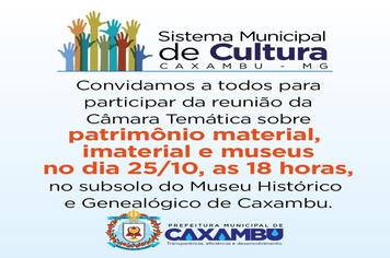 Reunião da Câmara Temática