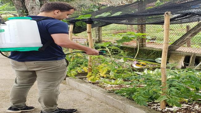 MANUTENÇÃO NA HORTA DA CRECHE DO CAXAMBU VELHO