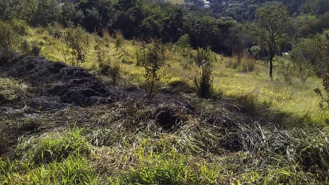 DEFESA CIVIL DE CAXAMBU ALERTA: EVITE QUEIMADAS