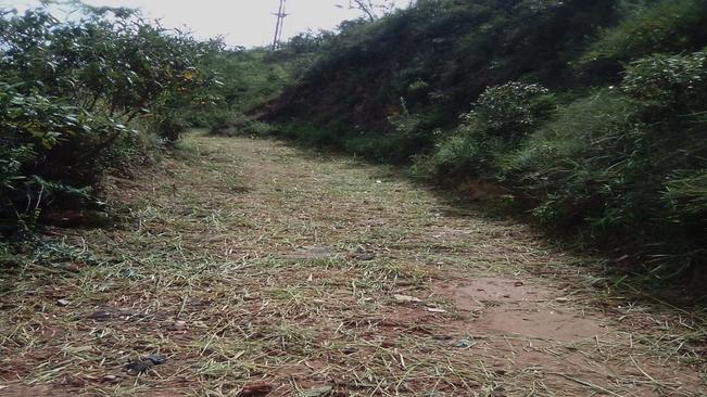 MANUTENÇÃO NO CAMINHO DAS ÁGUAS E ACESSO AO MORRO CAXAMBU
