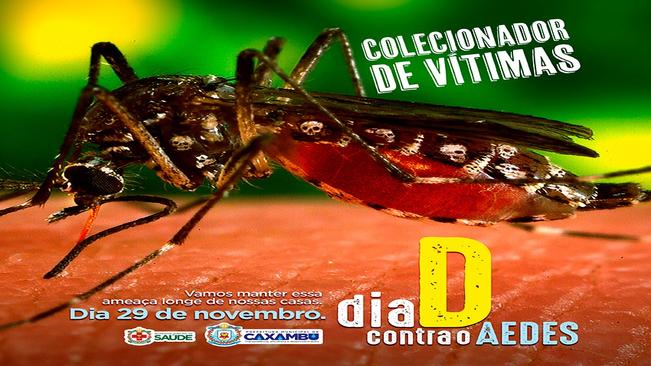 Dia D contra o Aedes.