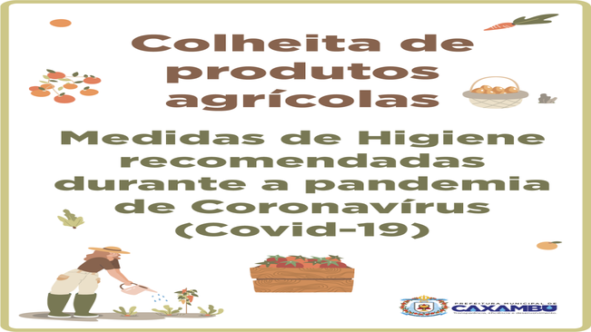 Colheita de Produtos Agrícolas