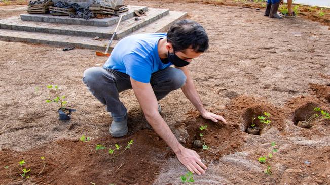 PLANTIO DE FLORES NO CANTEIRO DA ROTATÓRIA NA AV. ÁPIO CARDOSO