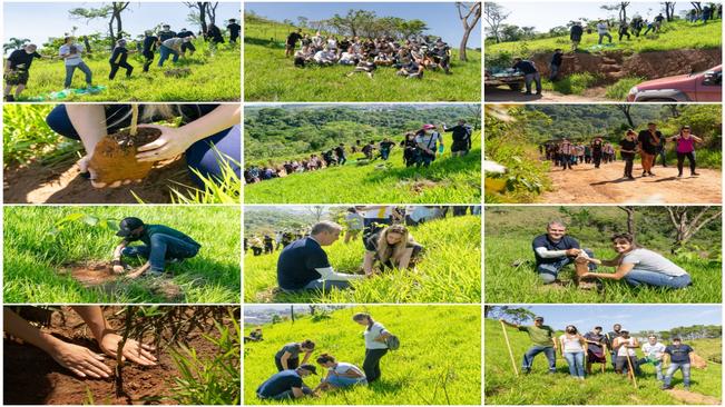 PLANTIO DE ÁRVORES NO MORRO CAXAMBU