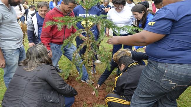 Alunos da APAE plantam árvore na Praça 16 de Setembro