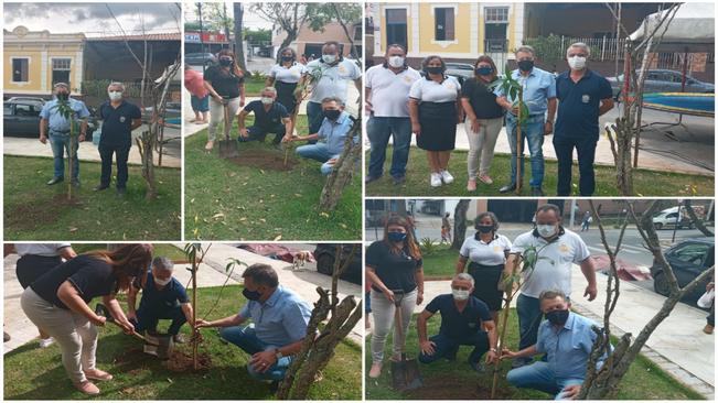 ROTARY INTERNATIONAL PROMOVE PLANTIO DE ÁRVORE EM CAXAMBU