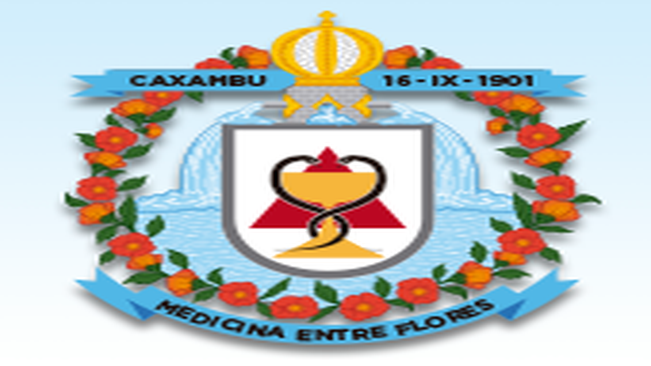 MANIFESTAÇÃO DO EXECUTIVO ENVIADA A CÂMARA SOBRE EMENDA À LEI ORGÂNICA