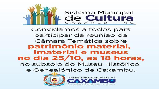 Reunião da Câmara Temática