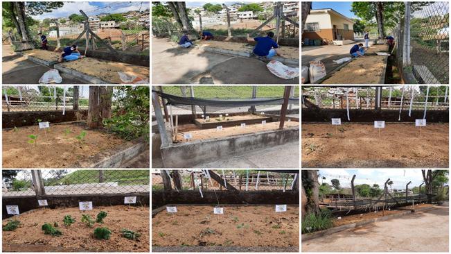 HORTA NA CRECHE DO CAXAMBU VELHO